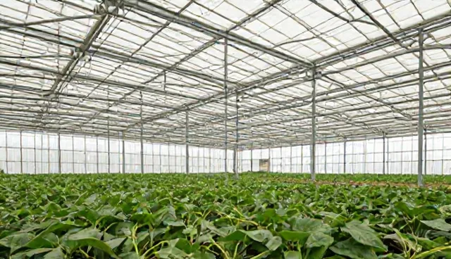方案设计中的适用情况分析及优化方向
